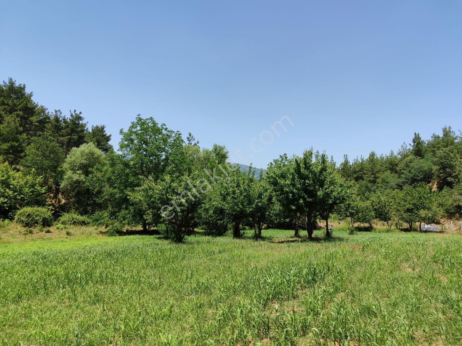 Söz Emlaktan; Bayındır Lutuflarda Tek Tapu Bahçe - Görsel 9