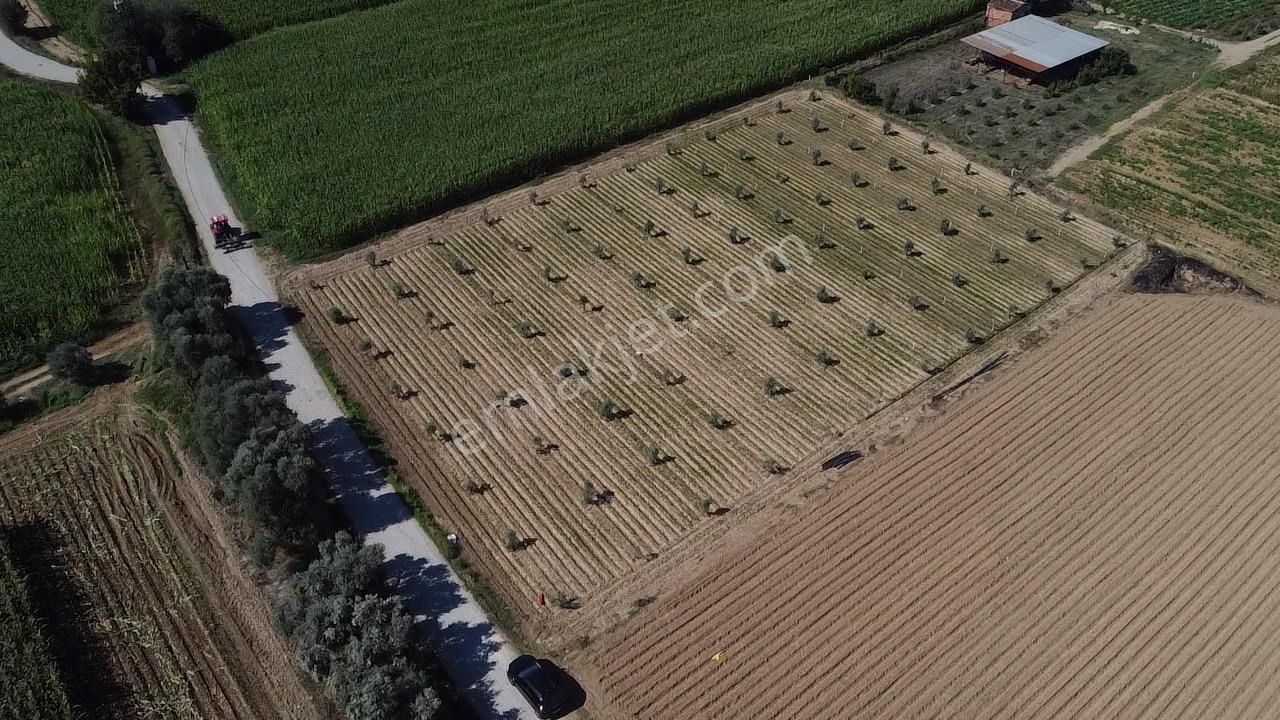 A Plus Gayrimenkulden Kahrat Köyünde 3645 M2 Yola Cepheli Tarla​ - Görsel 2