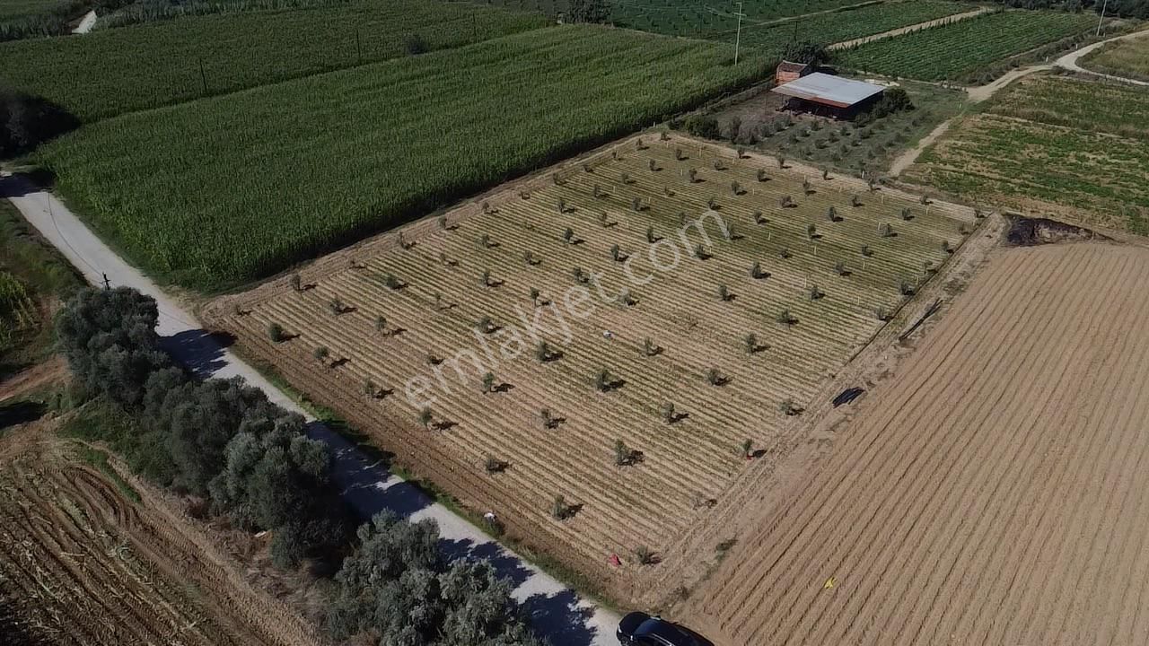 A Plus Gayrimenkulden Kahrat Köyünde 3645 M2 Yola Cepheli Tarla​ - Görsel 11