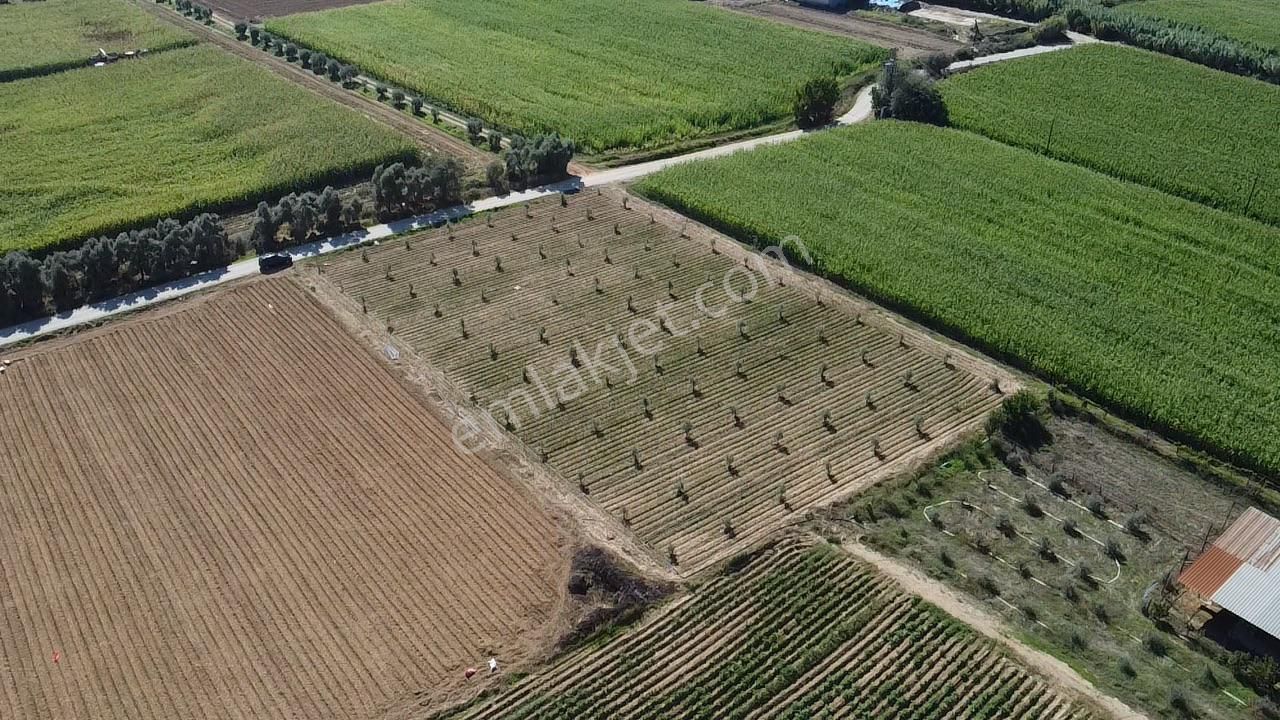 A Plus Gayrimenkulden Kahrat Köyünde 3645 M2 Yola Cepheli Tarla​ - Görsel 4