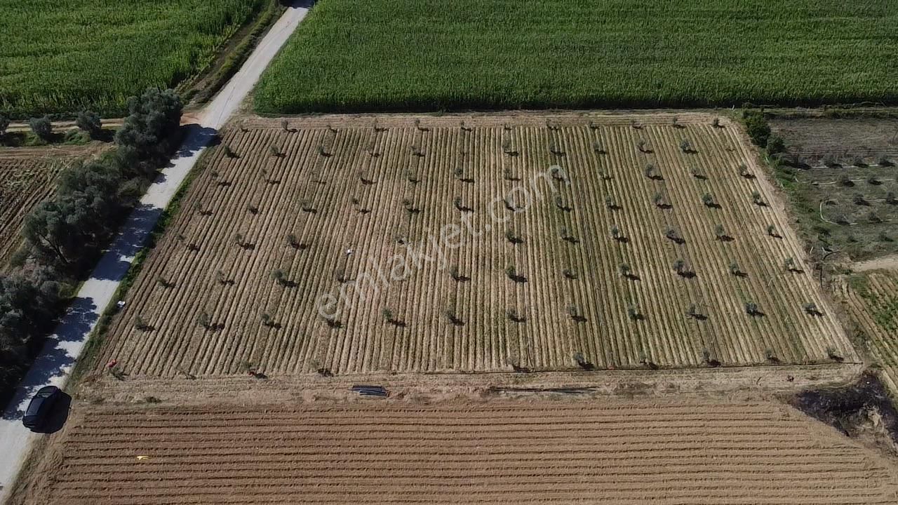 A Plus Gayrimenkulden Kahrat Köyünde 3645 M2 Yola Cepheli Tarla​ - Görsel 6