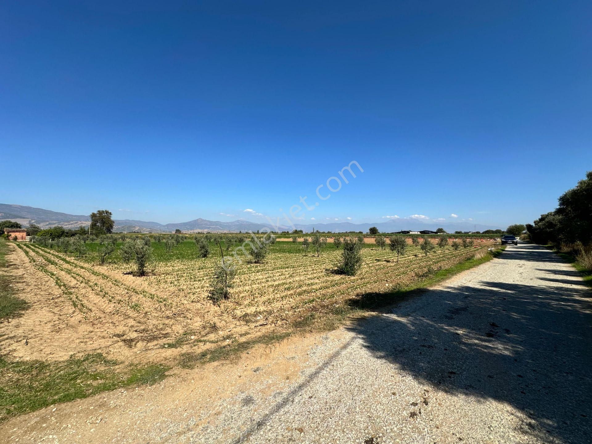 A Plus Gayrimenkulden Kahrat Köyünde 3645 M2 Yola Cepheli Tarla​ - Görsel 14