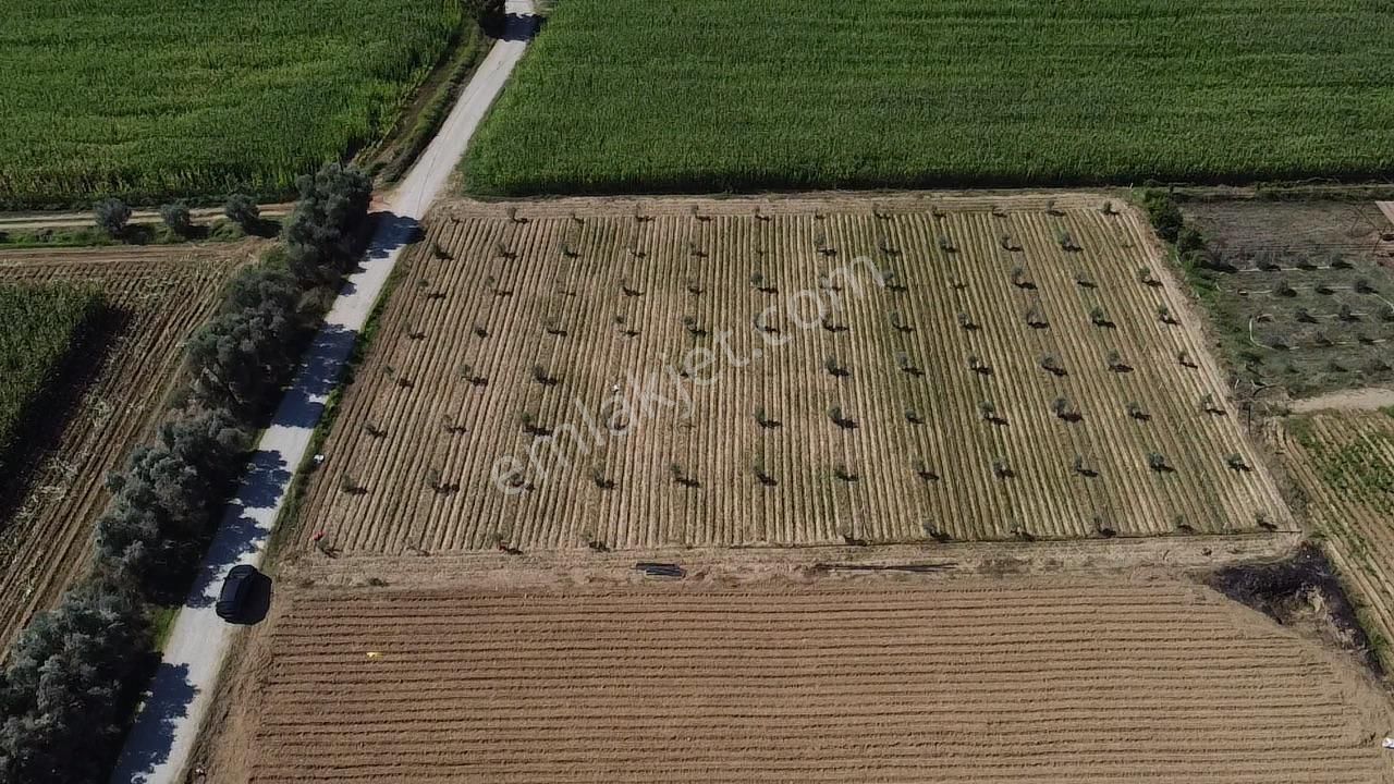 A Plus Gayrimenkulden Kahrat Köyünde 3645 M2 Yola Cepheli Tarla​ - Görsel 3