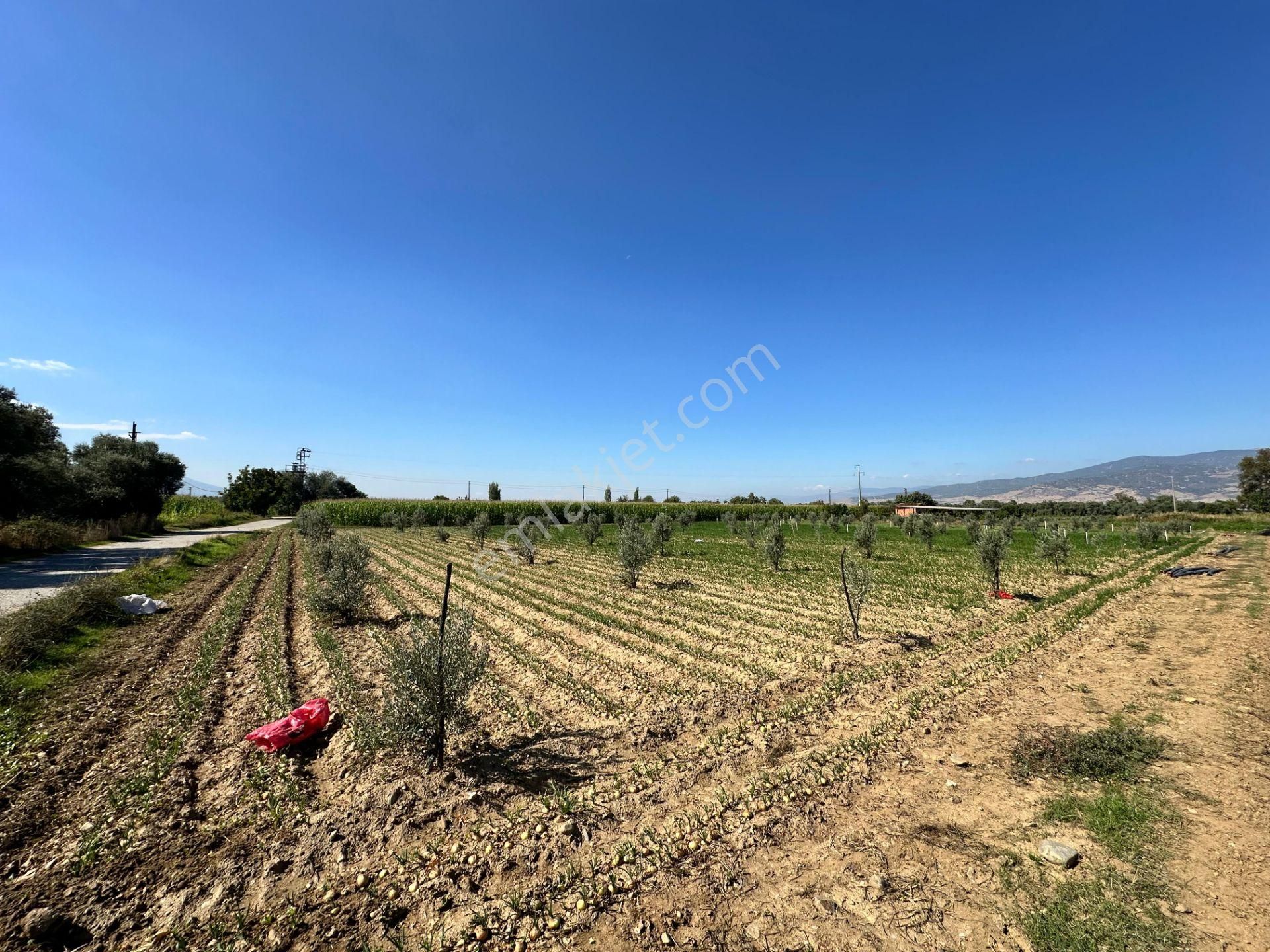 A Plus Gayrimenkulden Kahrat Köyünde 3645 M2 Yola Cepheli Tarla​ - Görsel 13