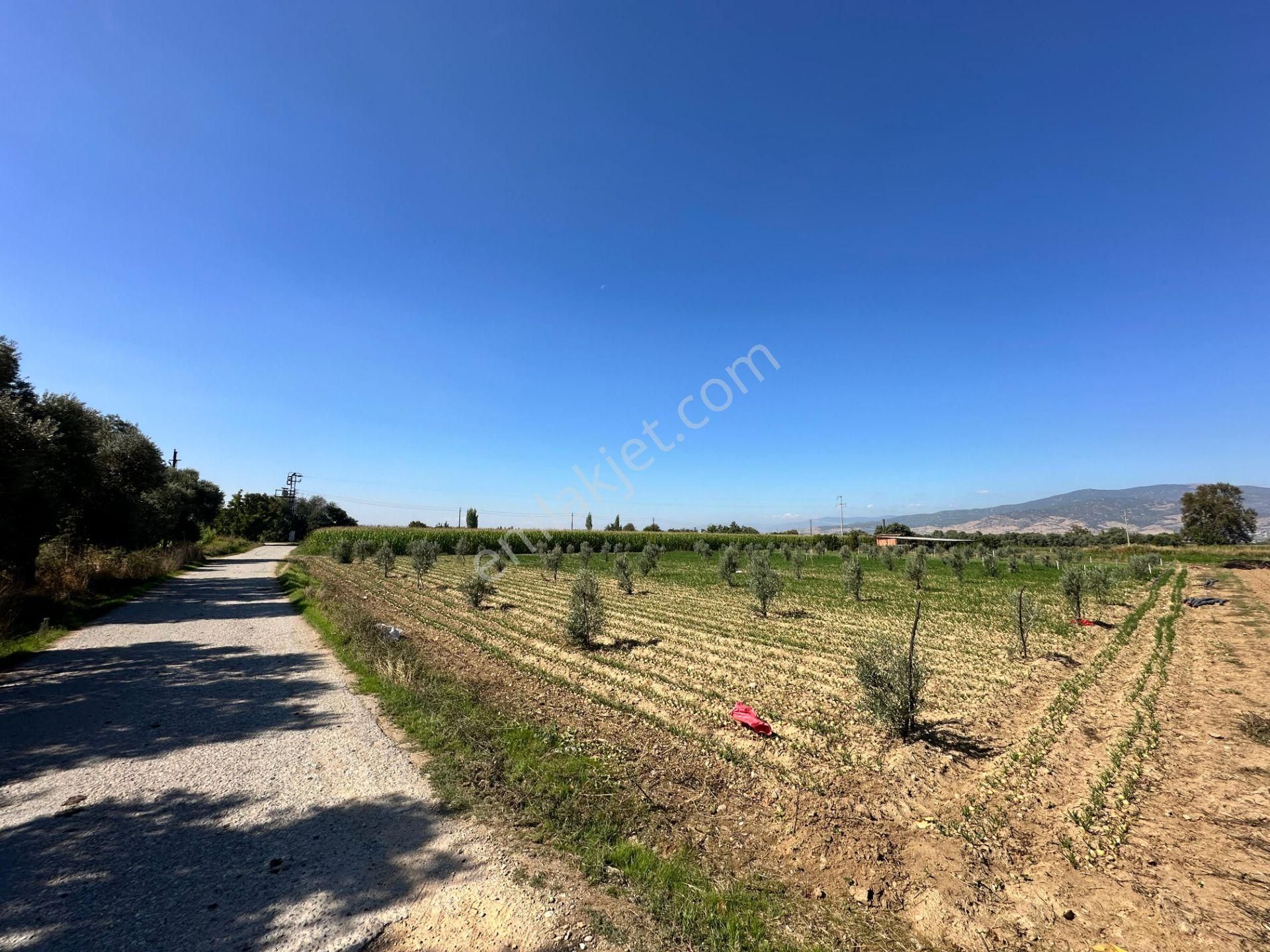 A Plus Gayrimenkulden Kahrat Köyünde 3645 M2 Yola Cepheli Tarla​ - Görsel 15