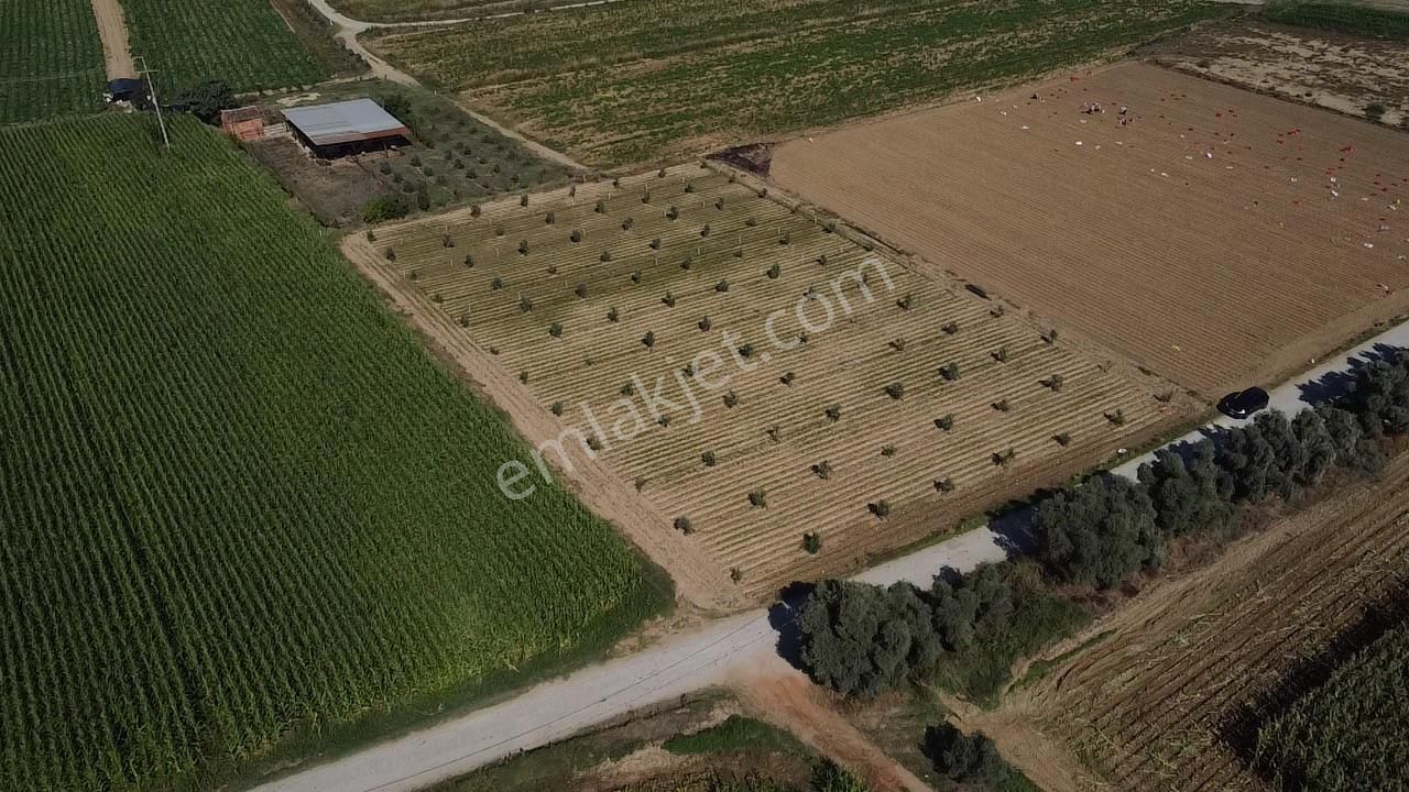 A Plus Gayrimenkulden Kahrat Köyünde 3645 M2 Yola Cepheli Tarla​ - Görsel 8