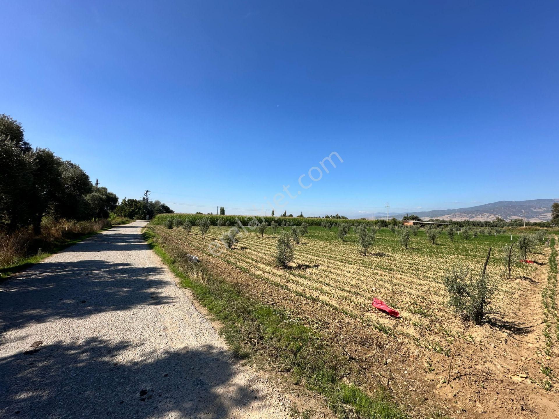 A Plus Gayrimenkulden Kahrat Köyünde 3645 M2 Yola Cepheli Tarla​ - Görsel 12