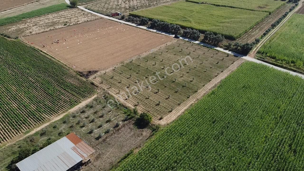 A Plus Gayrimenkulden Kahrat Köyünde 3645 M2 Yola Cepheli Tarla​ - Görsel 10