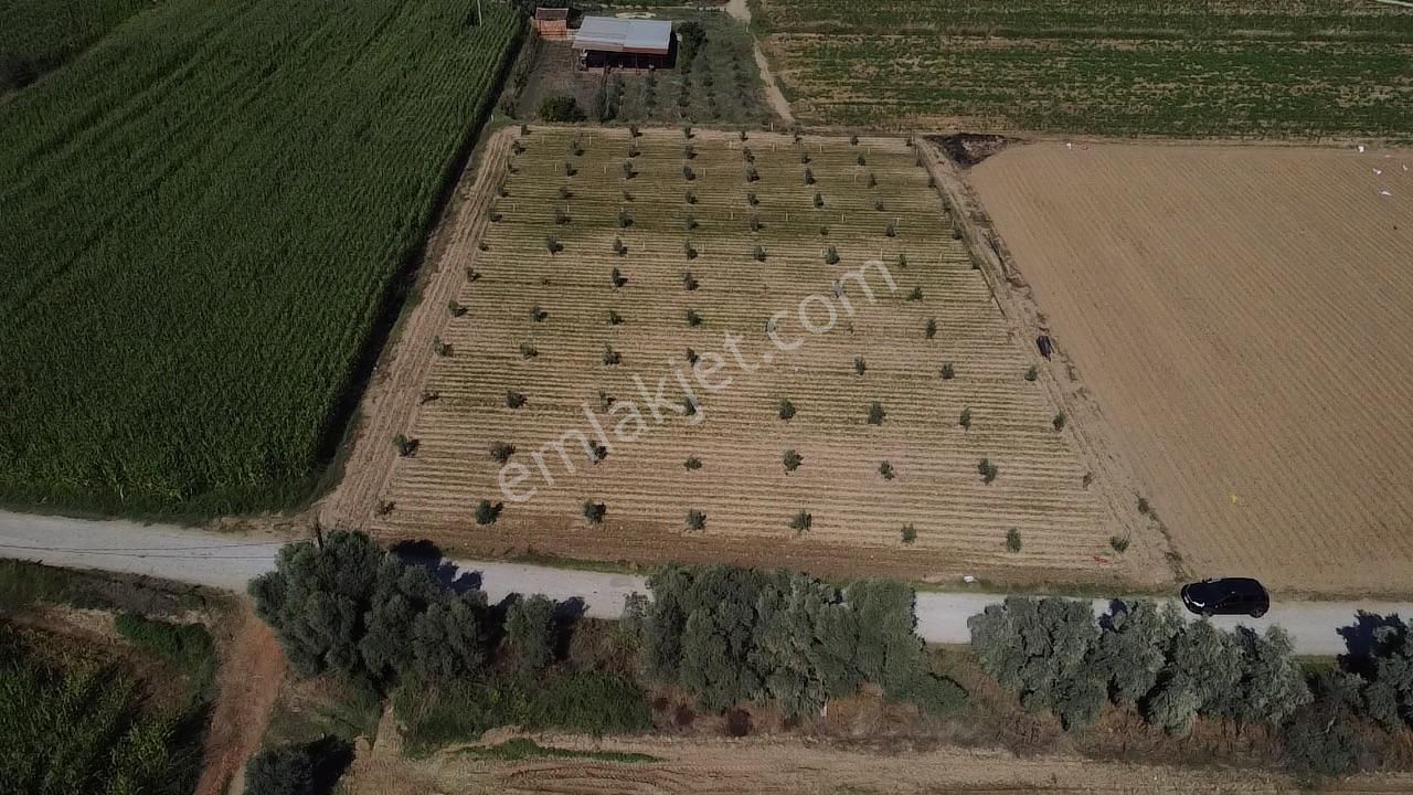 A Plus Gayrimenkulden Kahrat Köyünde 3645 M2 Yola Cepheli Tarla​ - Görsel 9