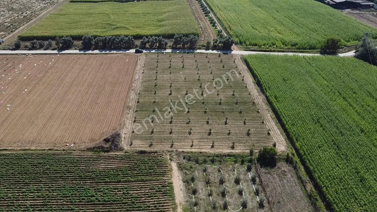 A Plus Gayrimenkulden Kahrat Köyünde 3645 M2 Yola Cepheli Tarla​ - Görsel 5