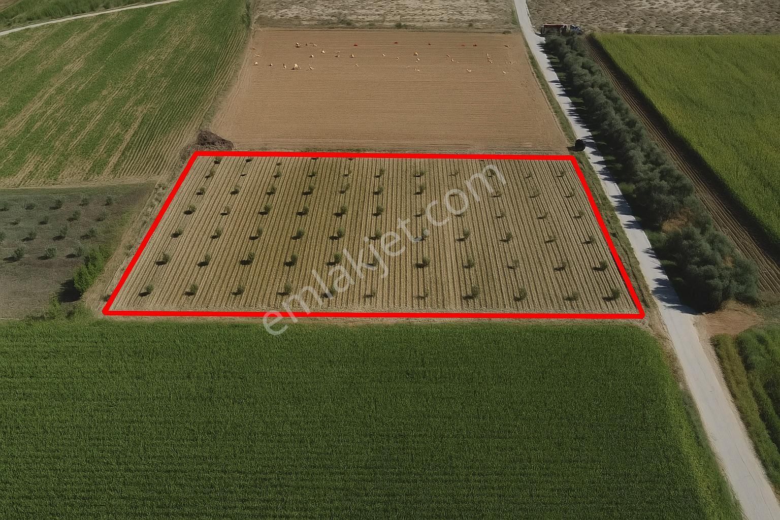 A Plus Gayrimenkulden Kahrat Köyünde 3645 M2 Yola Cepheli Tarla​