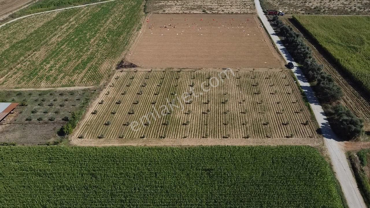 A Plus Gayrimenkulden Kahrat Köyünde 3645 M2 Yola Cepheli Tarla​ - Görsel 7
