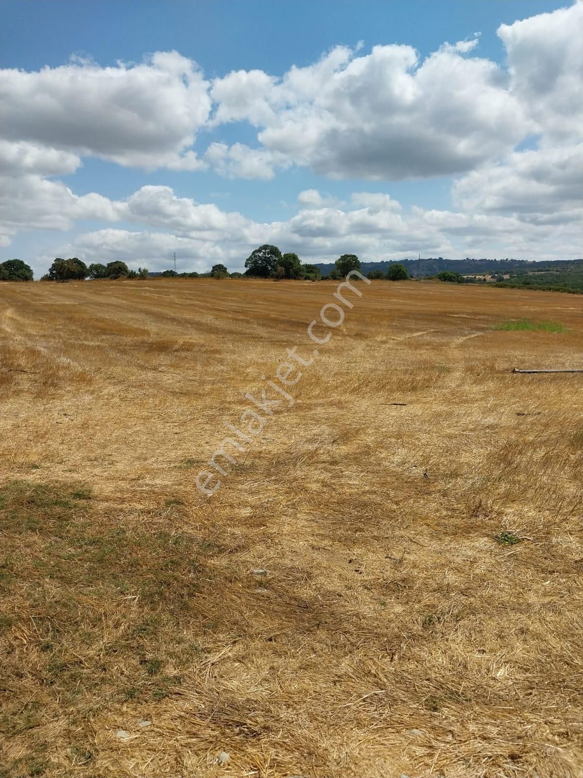 Güzel Bir Tarla Köye Çok Yakın - Görsel 5