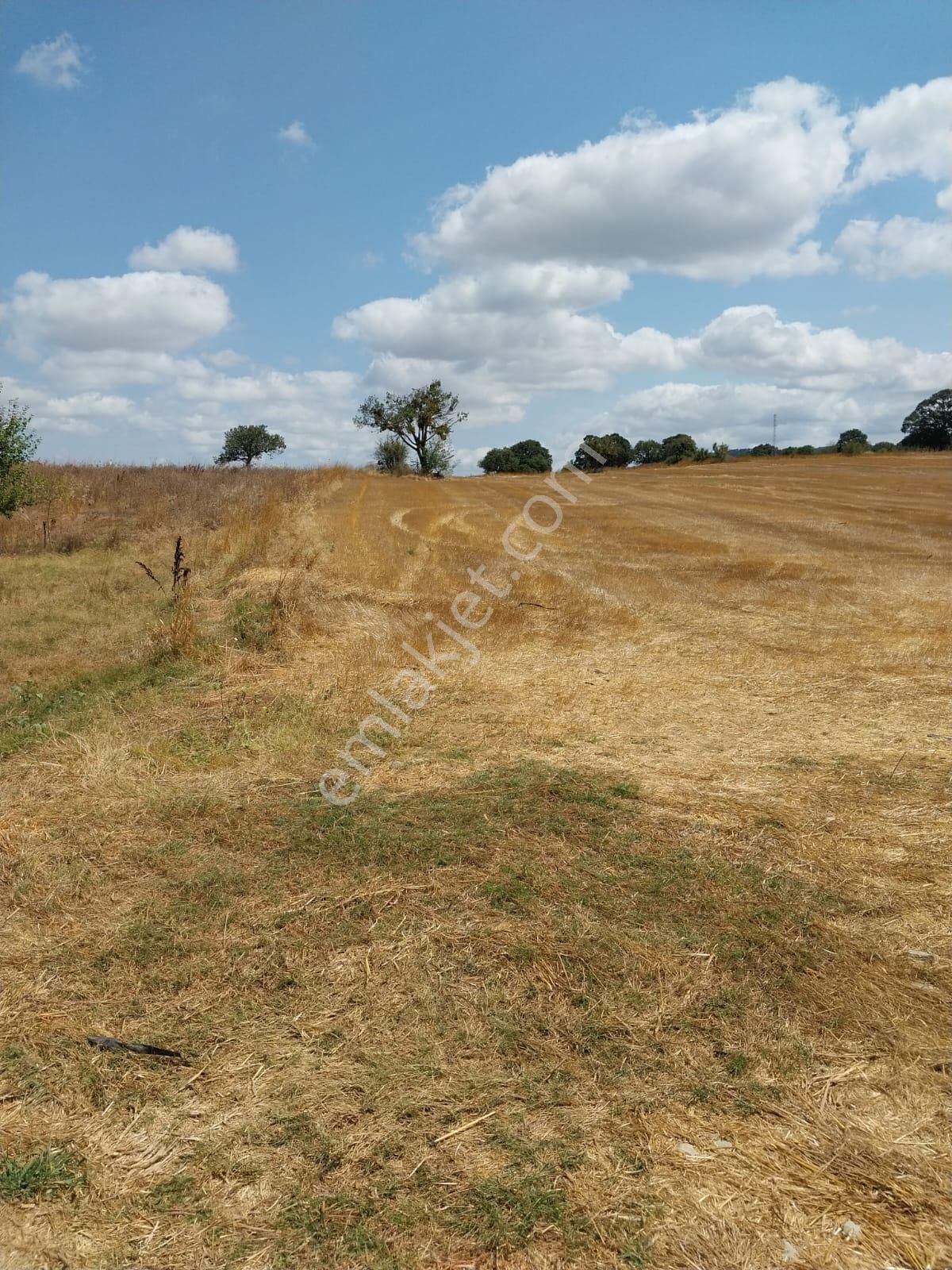 Güzel Bir Tarla Köye Çok Yakın