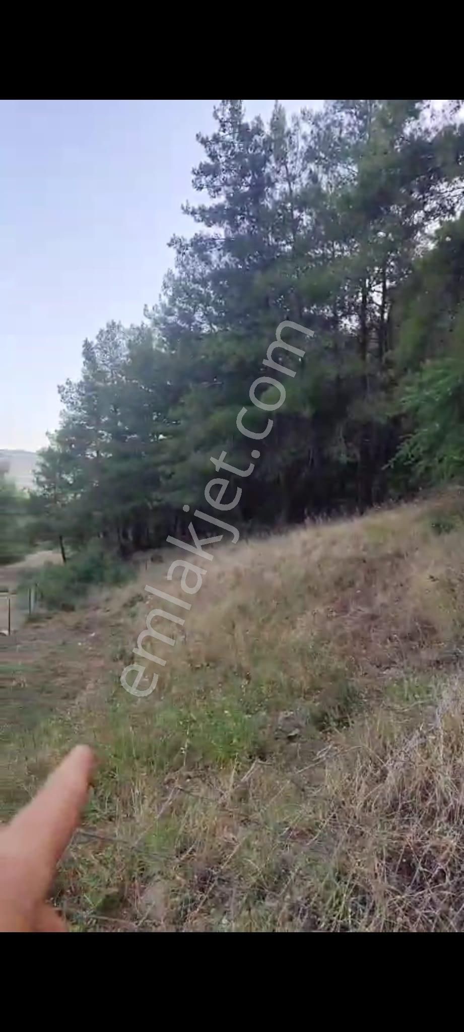 Muğla Ula Çiçekli Anayola Sıfır Yeşillikler İçinde 2. 500 2 Müstakil Tapulu Arazi Satılık. - Görsel 2