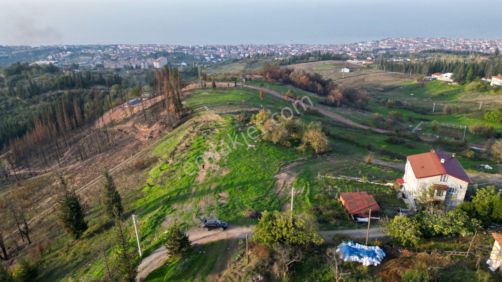 Kocaeli Karamürsel Karapınar 442 M² Fırsat Satılık Arsa - Görsel 3