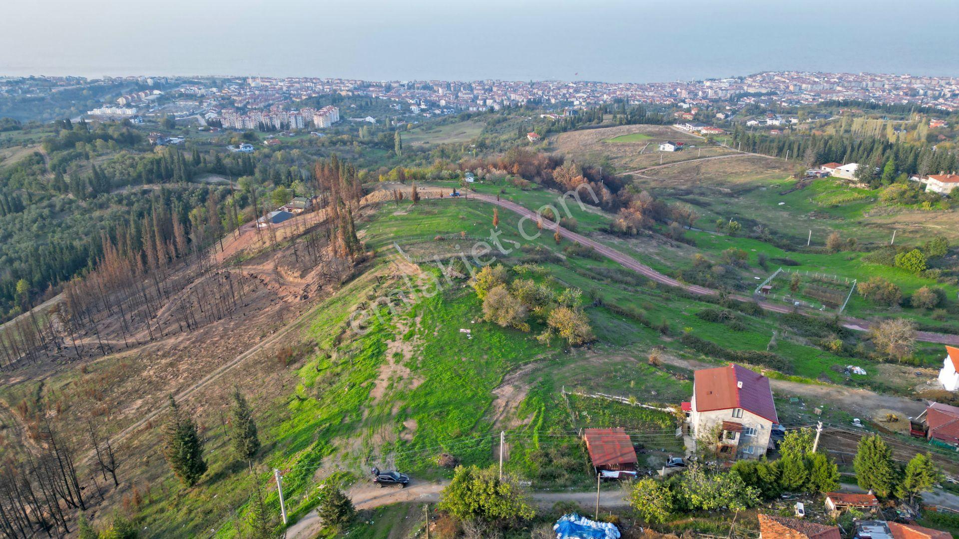 Kocaeli Karamürsel Karapınar 442 M² Fırsat Satılık Arsa - Görsel 8