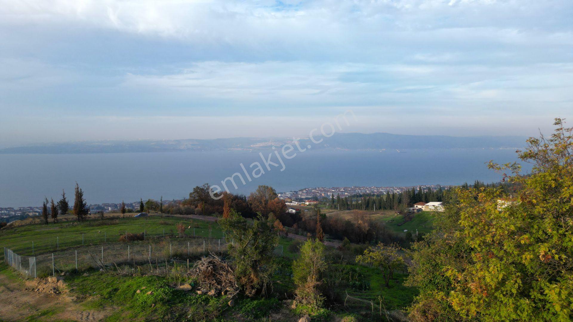 Kocaeli Karamürsel Karapınar 442 M² Fırsat Satılık Arsa - Görsel 15