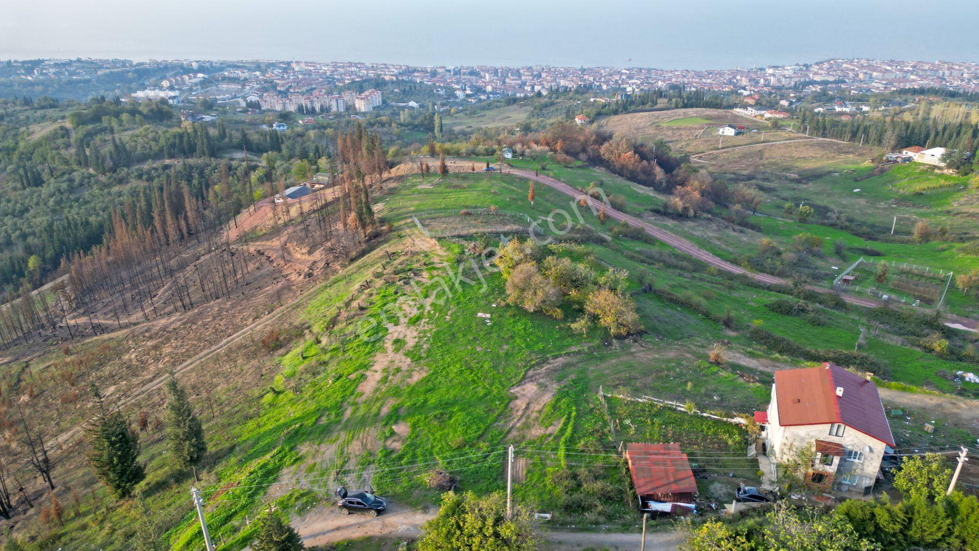 Kocaeli Karamürsel Karapınar 442 M² Fırsat Satılık Arsa - Görsel 7