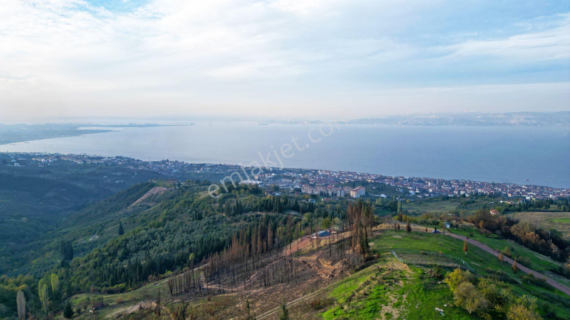 Kocaeli Karamürsel Karapınar 442 M² Fırsat Satılık Arsa - Görsel 10