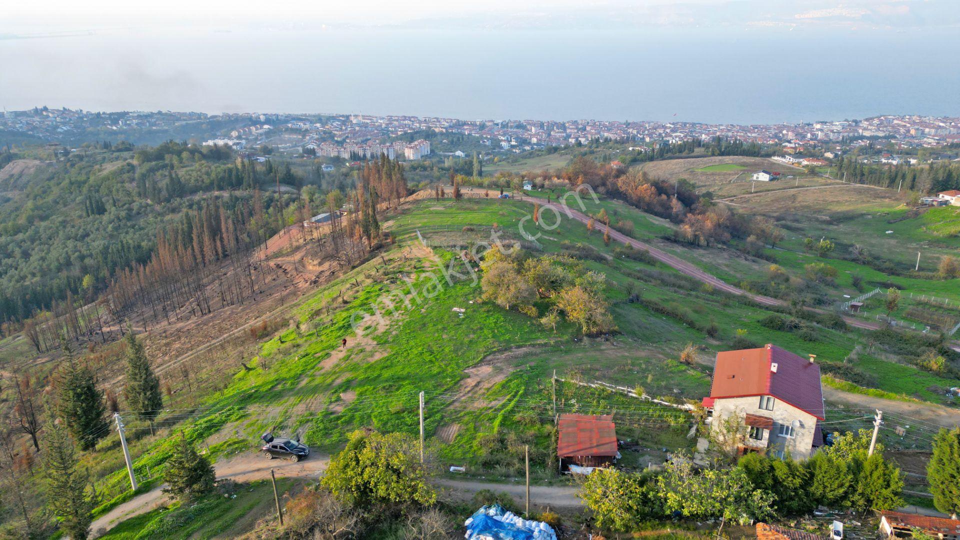 Kocaeli Karamürsel Karapınar 442 M² Fırsat Satılık Arsa - Görsel 4