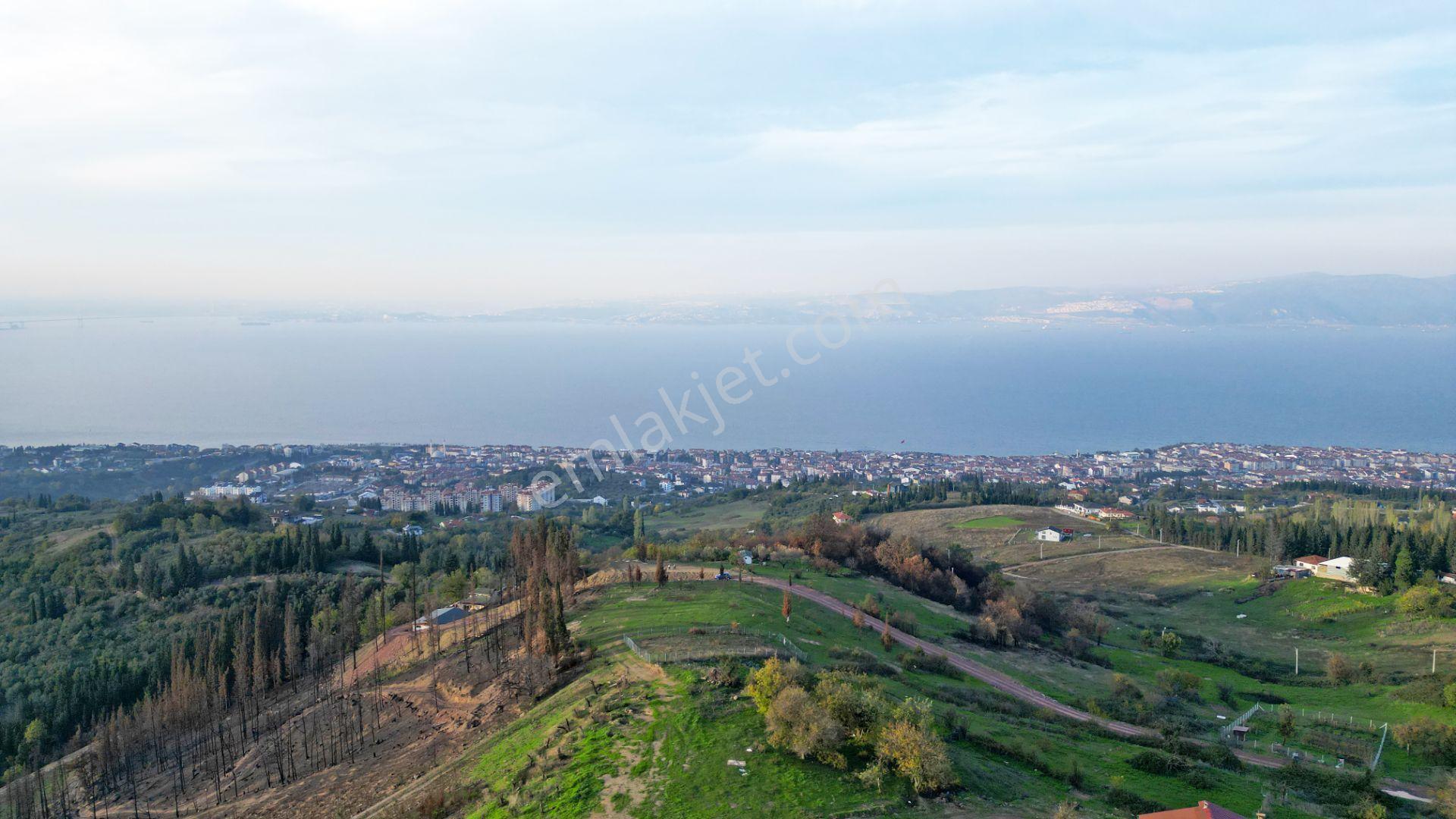 Kocaeli Karamürsel Karapınar 442 M² Fırsat Satılık Arsa - Görsel 9