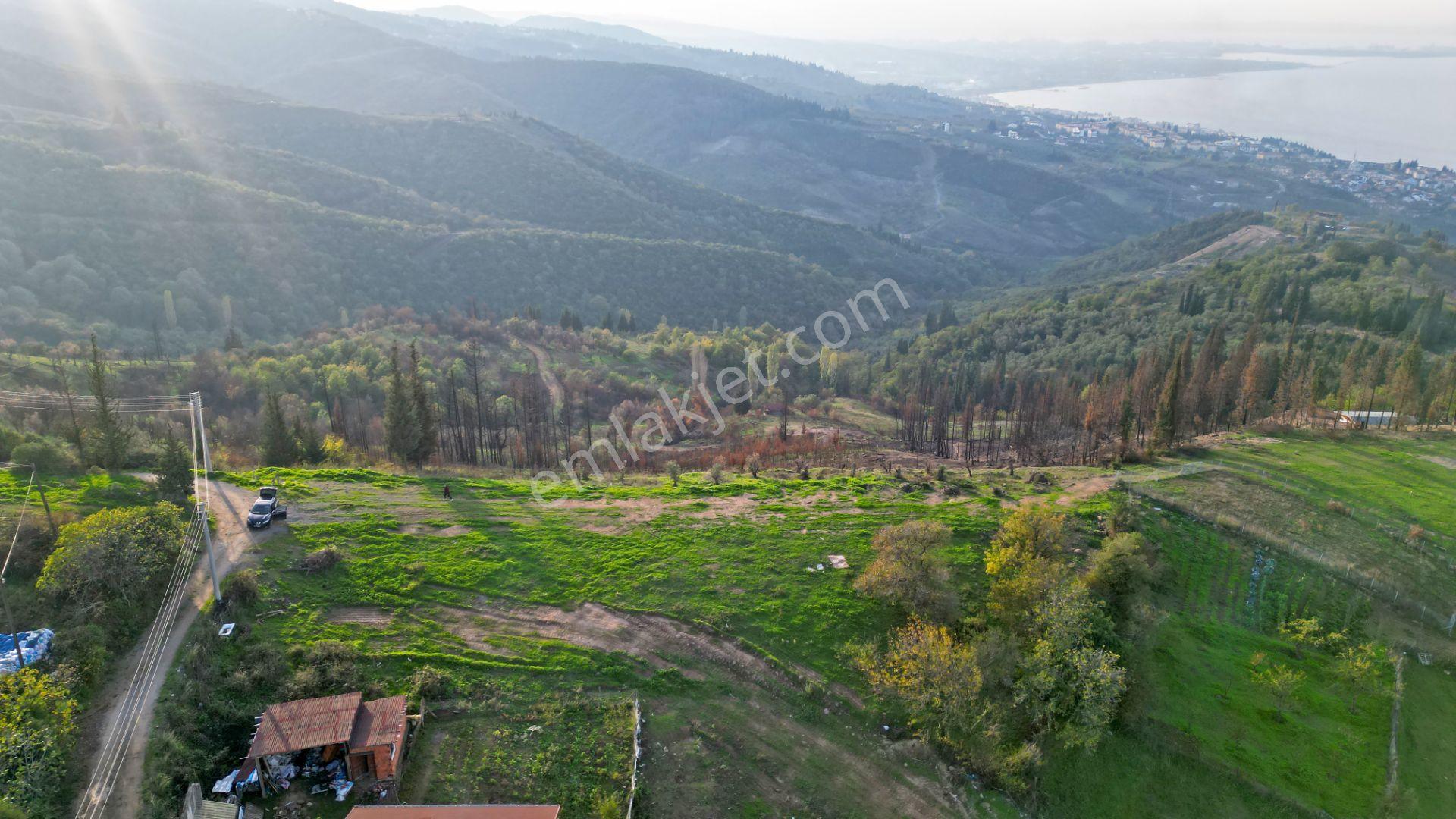 Kocaeli Karamürsel Karapınar 442 M² Fırsat Satılık Arsa - Görsel 5
