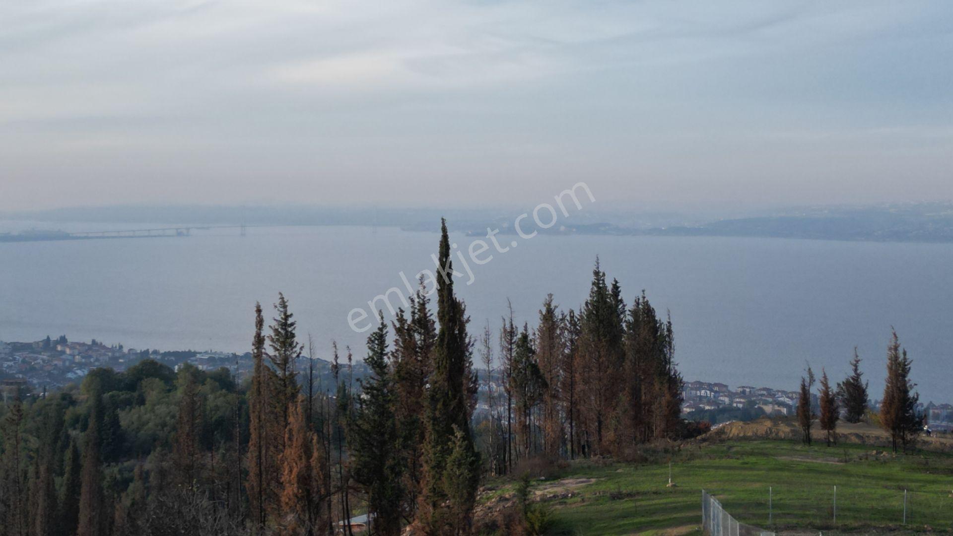 Kocaeli Karamürsel Karapınar 442 M² Fırsat Satılık Arsa - Görsel 13