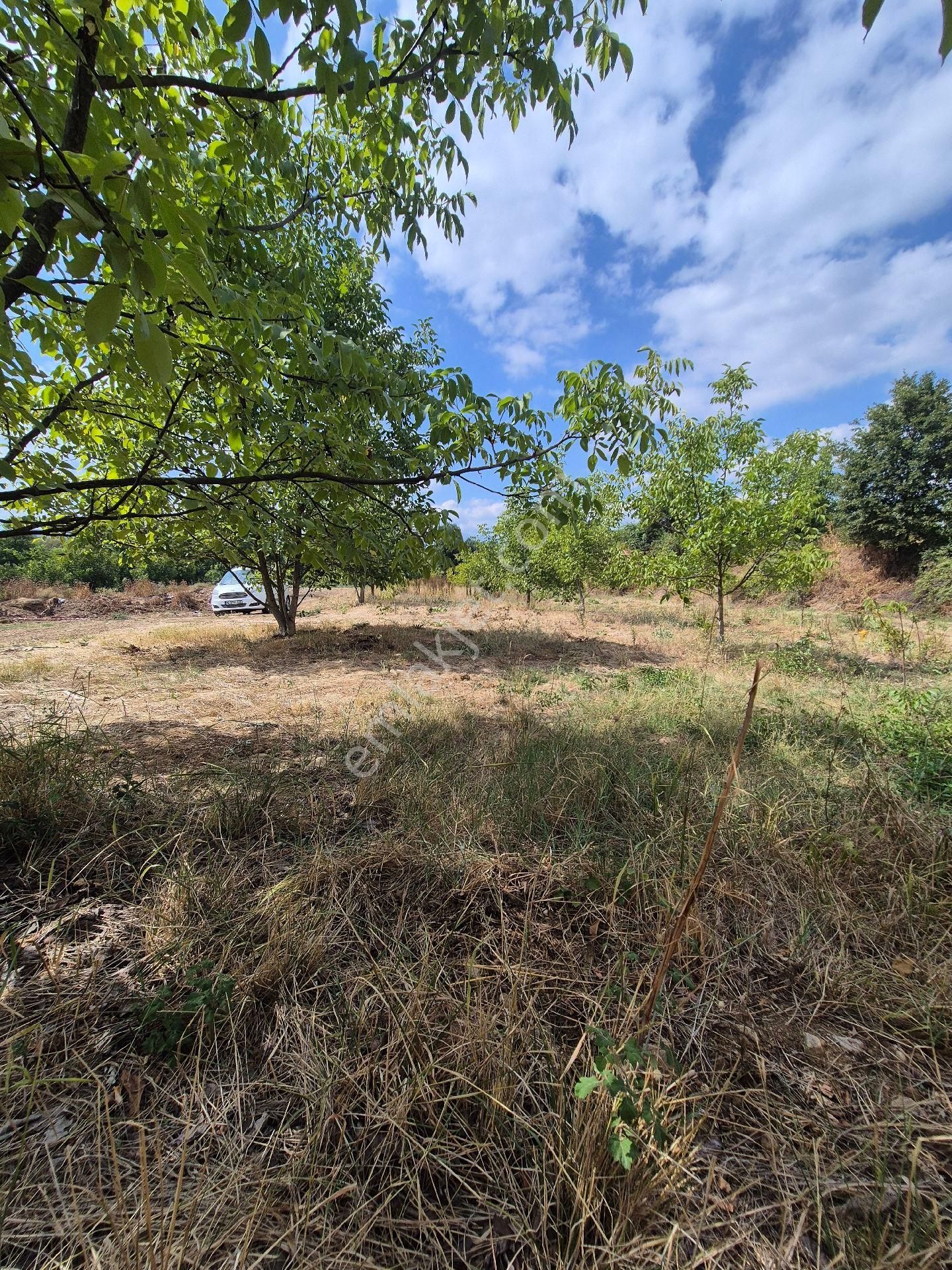 İnegöl Çitlide Uygun Fiyat Bahçe - Görsel 4