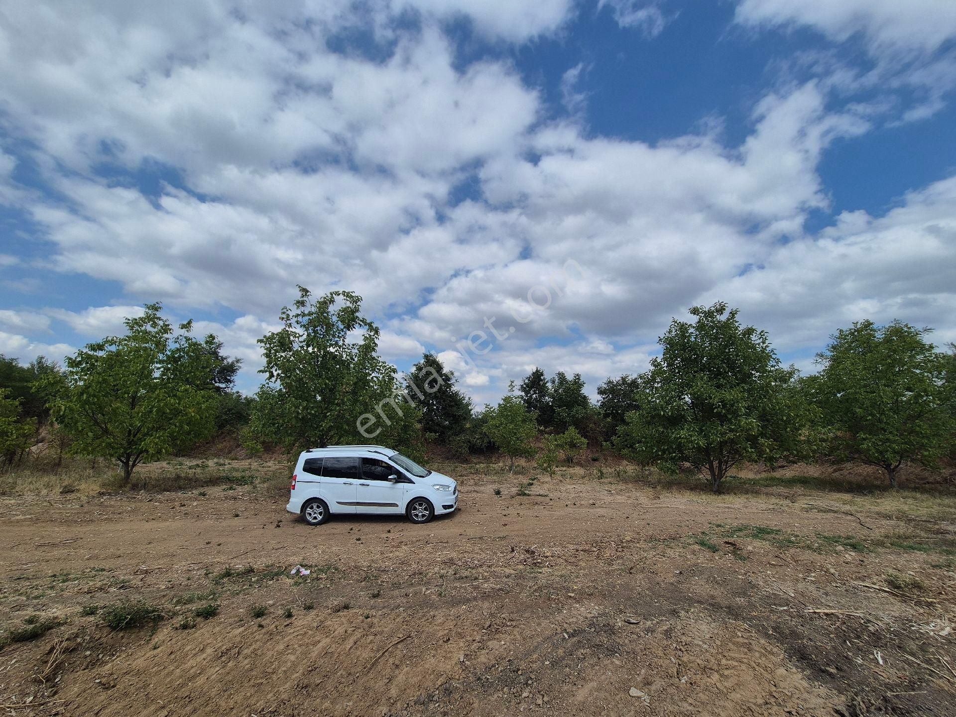 İnegöl Çitlide Uygun Fiyat Bahçe - Görsel 8