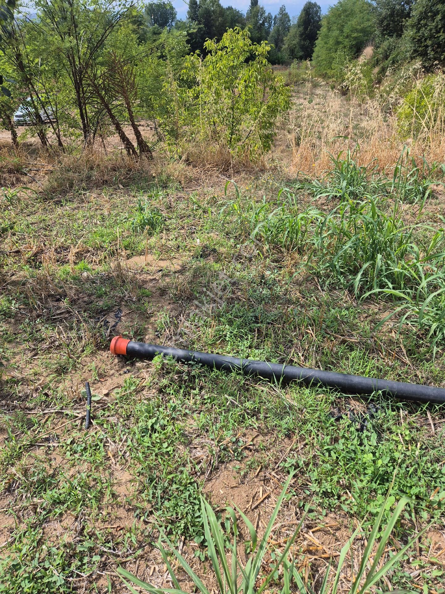 İnegöl Çitlide Uygun Fiyat Bahçe - Görsel 6