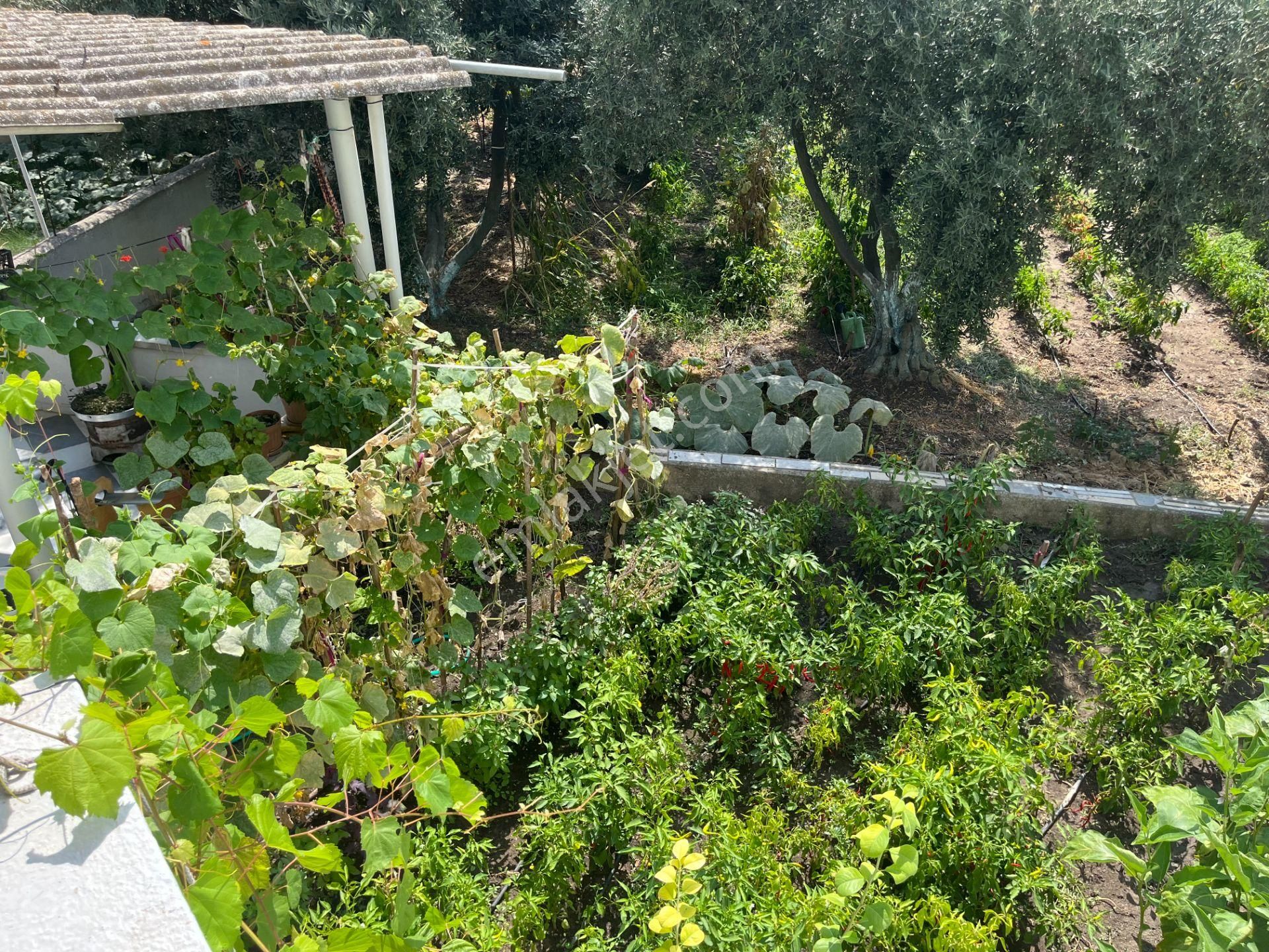 Çanakkale Biga Güvemalan'da Satılık Müstakil Yazlık - Görsel 24