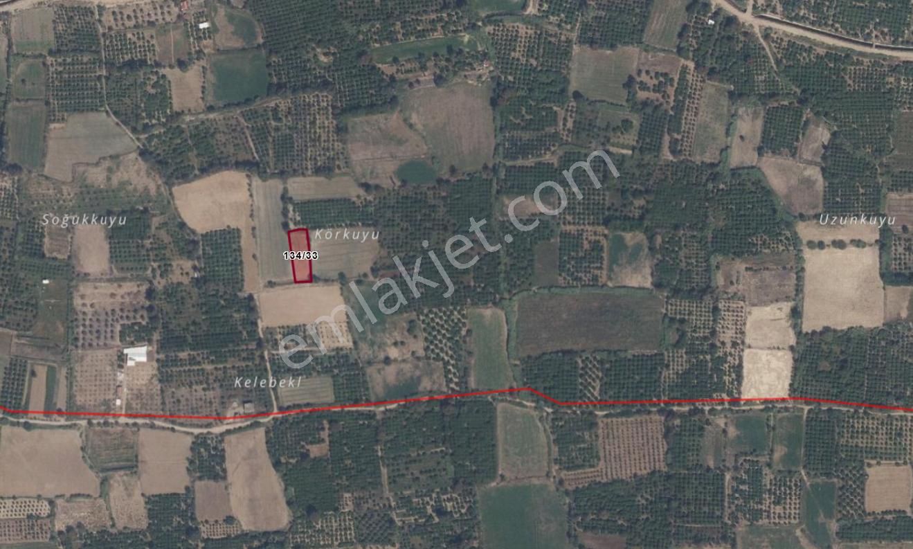 Aydın/kuyucak/beşeylül (sinekler Köyü)de Satılık Tarla