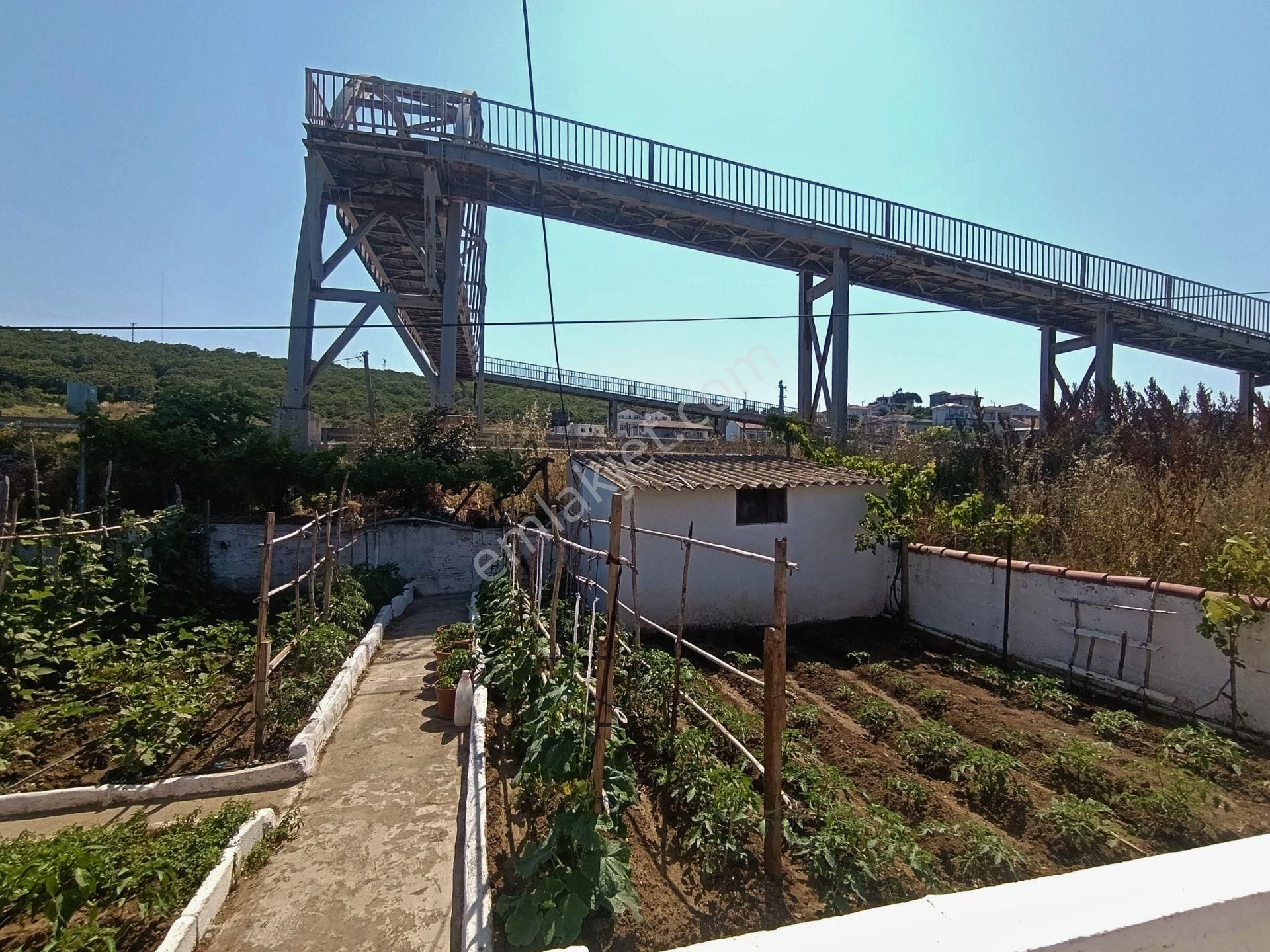 Çanakkale Lapseki Gürece Yazlık Denize 50 Metre - Görsel 21