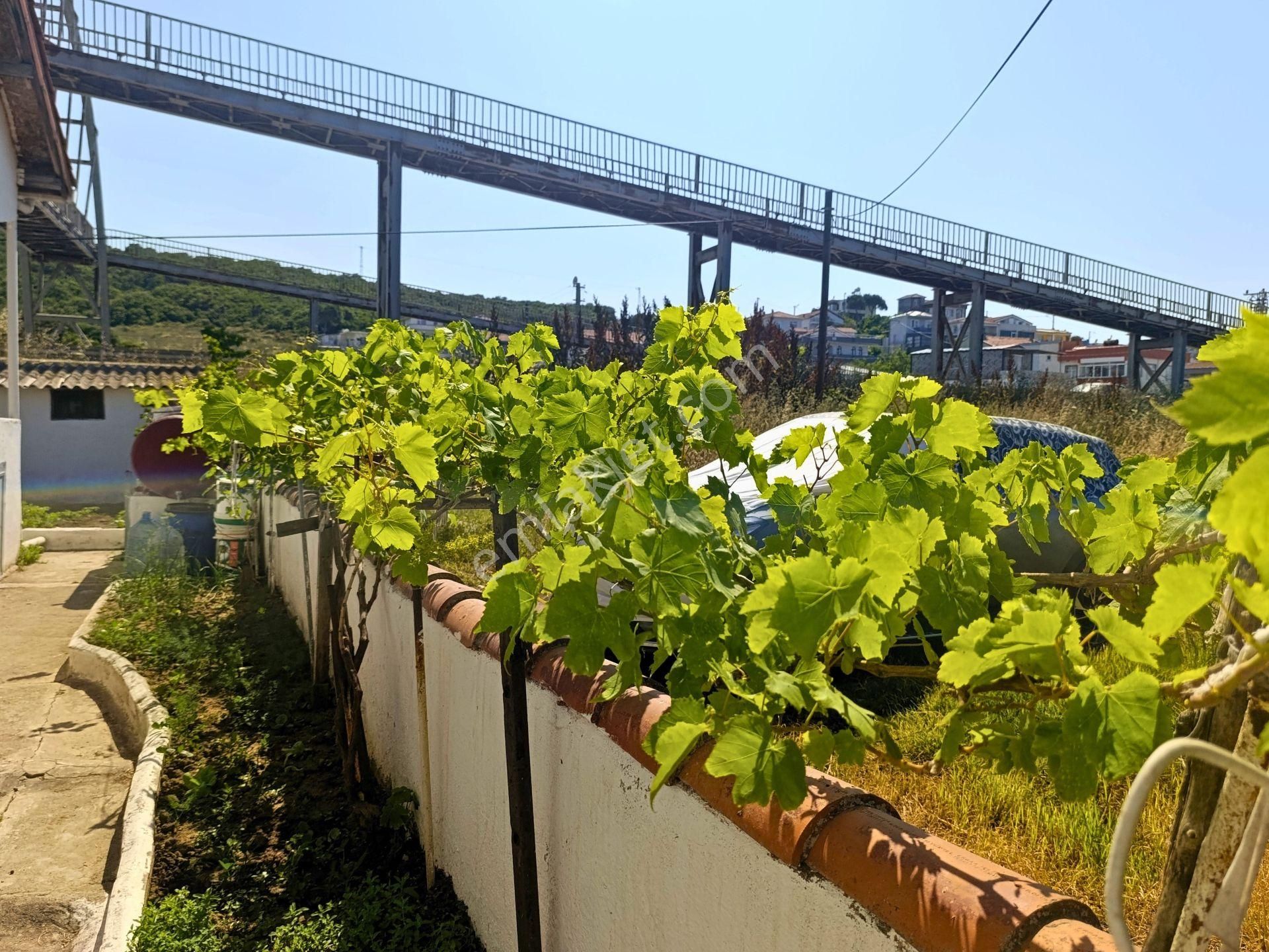 Çanakkale Lapseki Gürece Yazlık Denize 50 Metre - Görsel 7