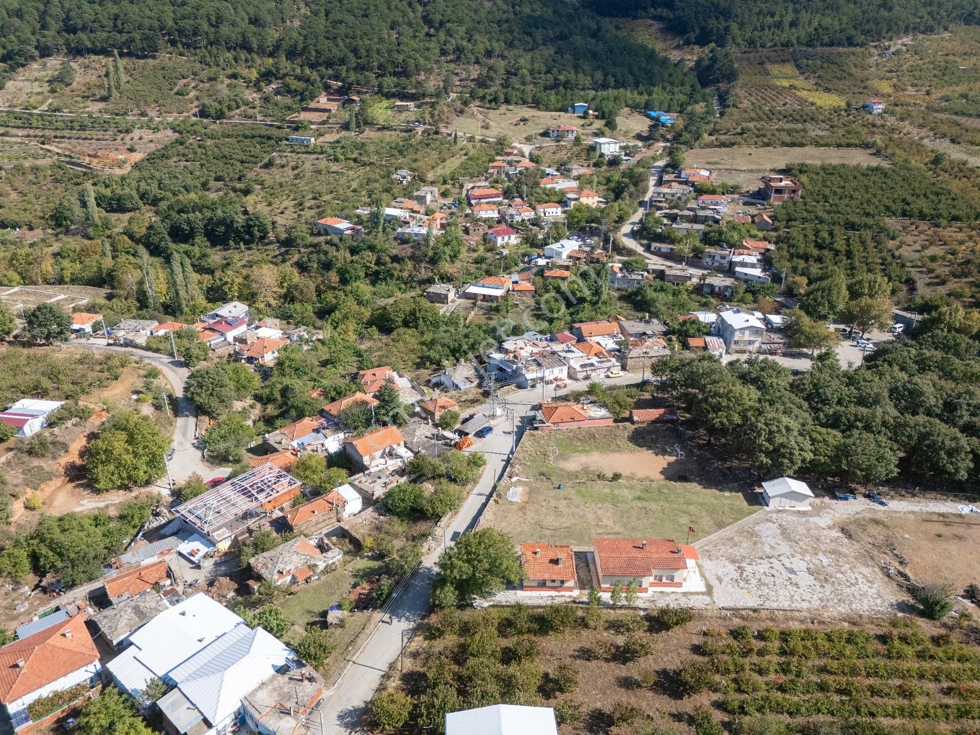 İzmir Kemalpaşa Kamberler Köyünde Satılık Kiraz Bahçesi - Görsel 8