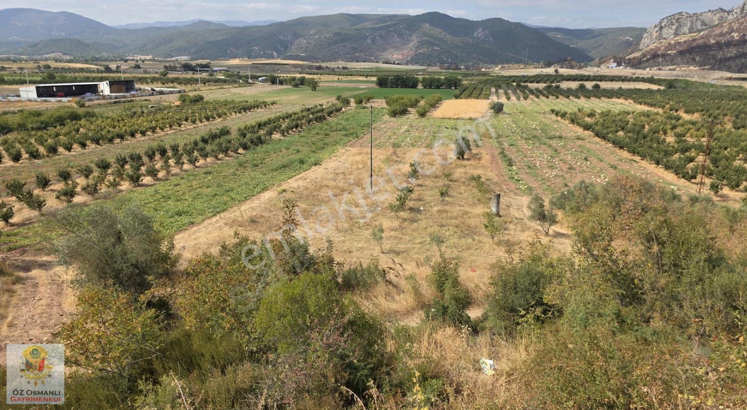 Selçik'te Köye Merkeze Yakın Acil Satılık Arazi - Görsel 4