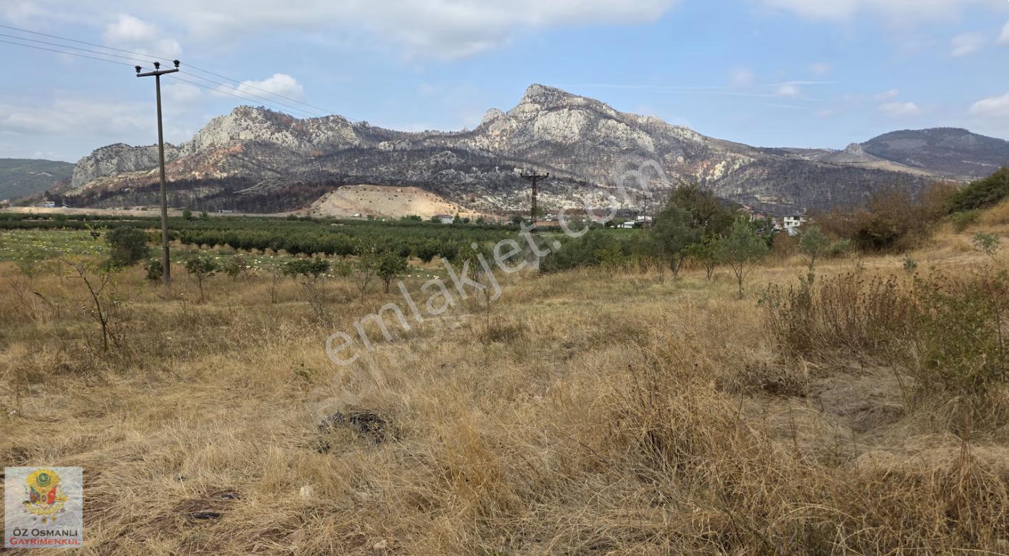 Selçik'te Köye Merkeze Yakın Acil Satılık Arazi - Görsel 5