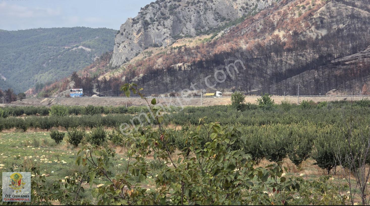 Selçik'te Köye Merkeze Yakın Acil Satılık Arazi
