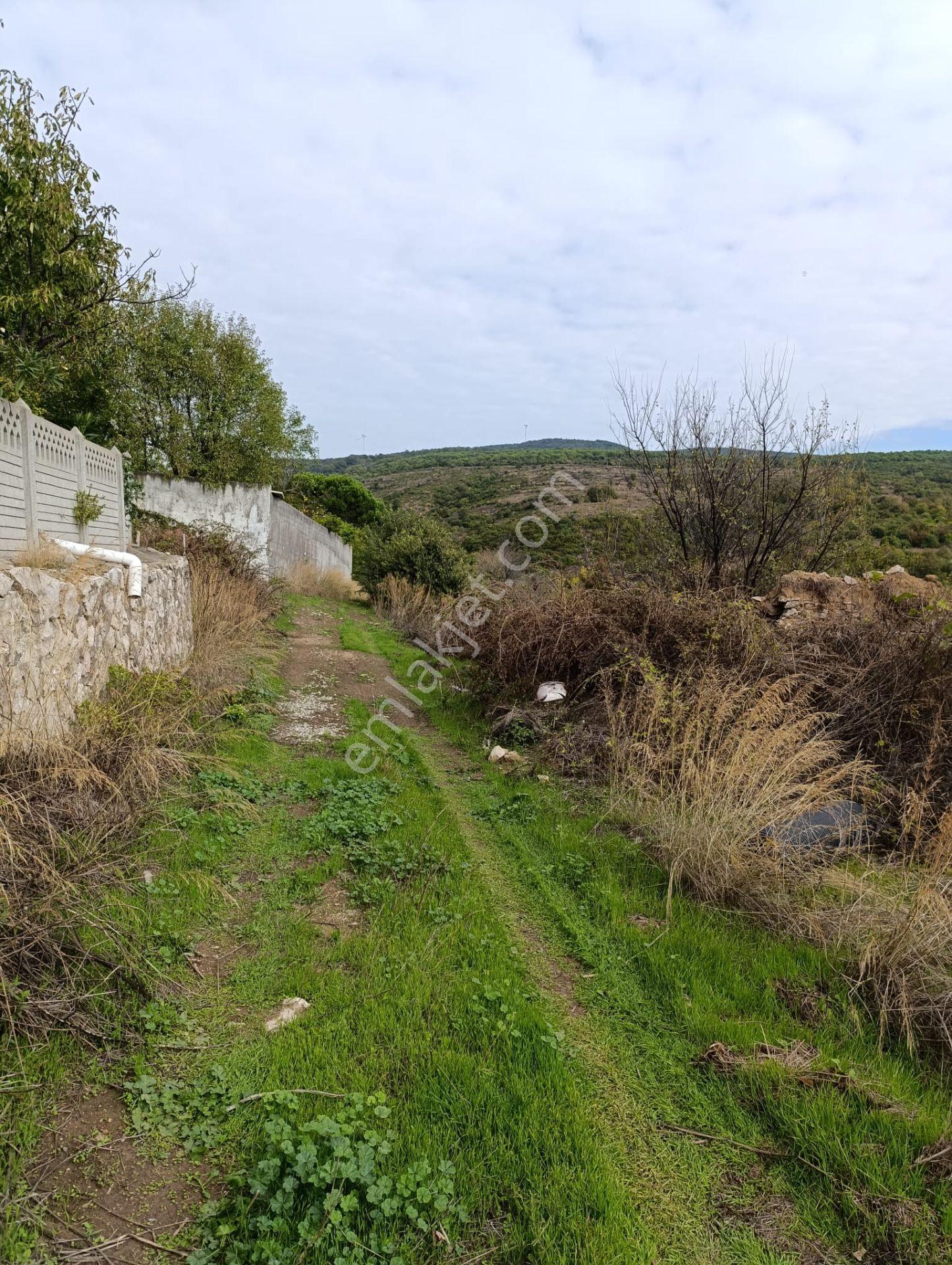 Balıkesir Bandırma Çakıl Mah. 1.480 M2 Satılık Bahçe Göl Manzaralı - Görsel 19