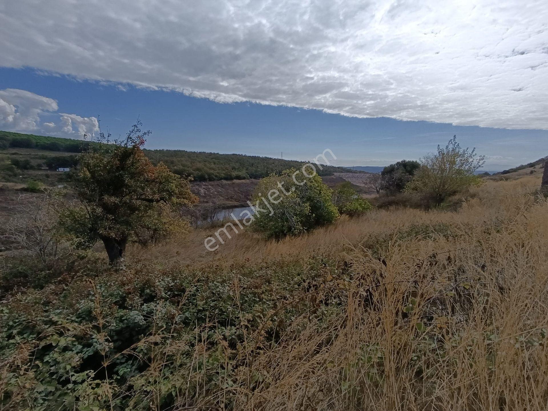 Balıkesir Bandırma Çakıl Mah. 1.480 M2 Satılık Bahçe Göl Manzaralı - Görsel 12