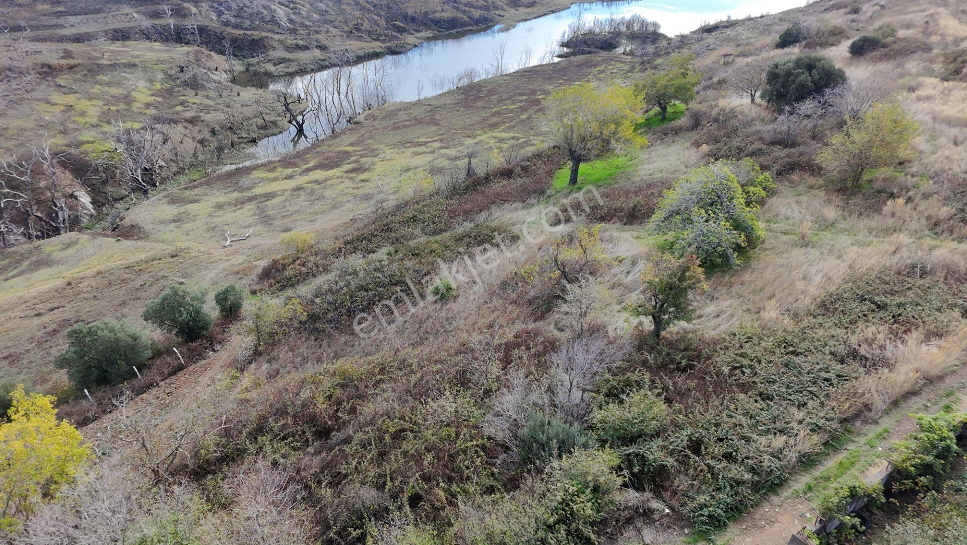Balıkesir Bandırma Çakıl Mah. 1.480 M2 Satılık Bahçe Göl Manzaralı - Görsel 7