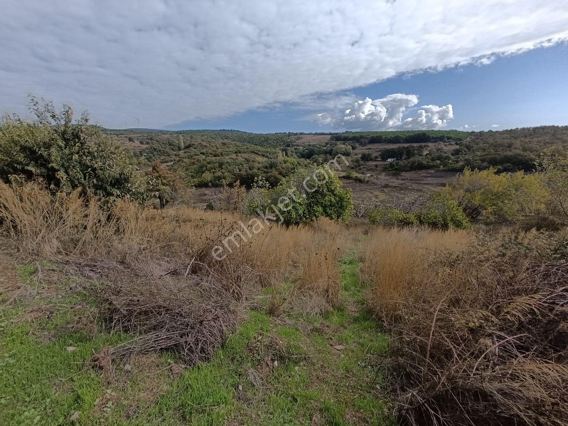 Balıkesir Bandırma Çakıl Mah. 1.480 M2 Satılık Bahçe Göl Manzaralı - Görsel 16