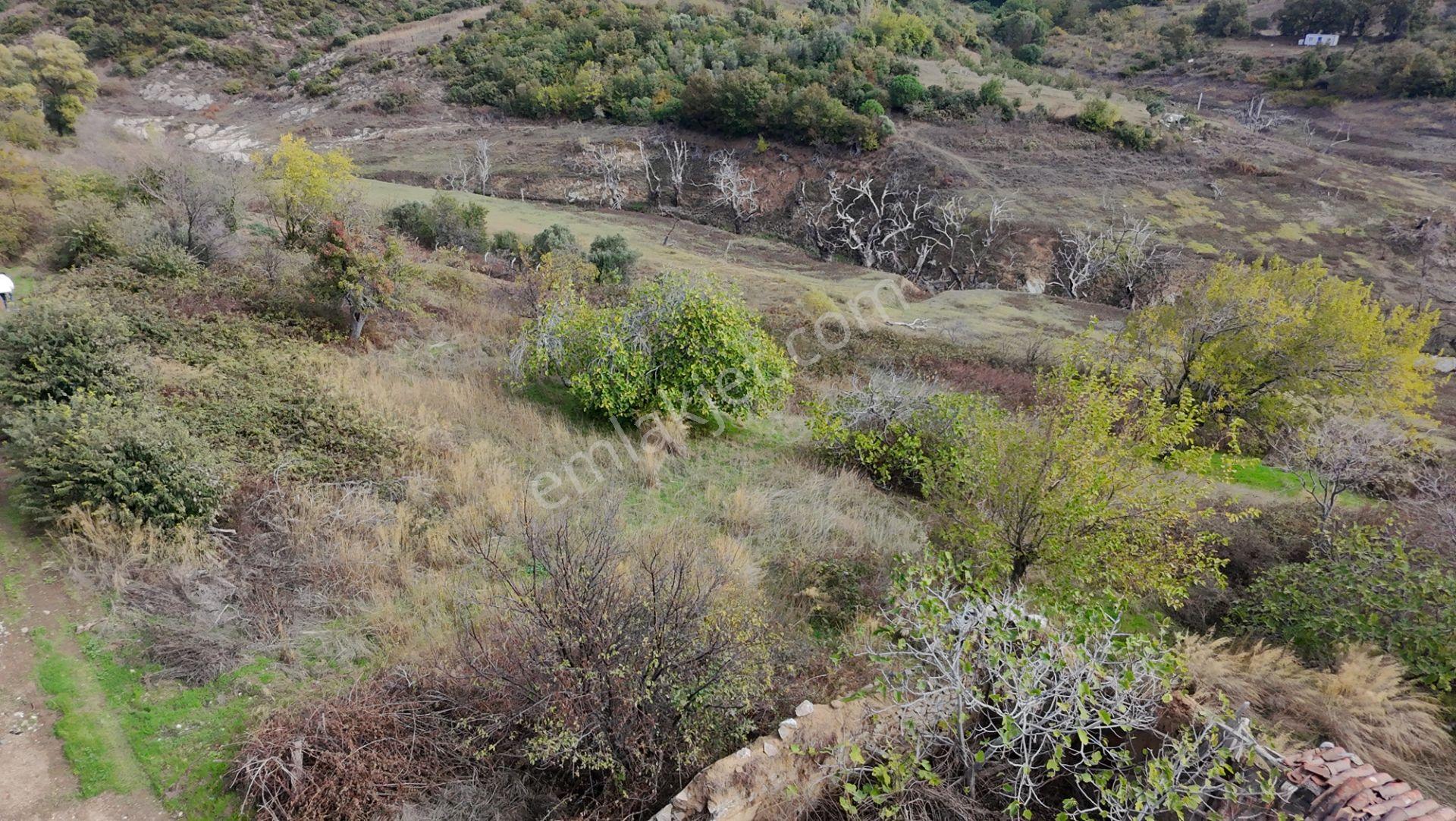 Balıkesir Bandırma Çakıl Mah. 1.480 M2 Satılık Bahçe Göl Manzaralı - Görsel 4