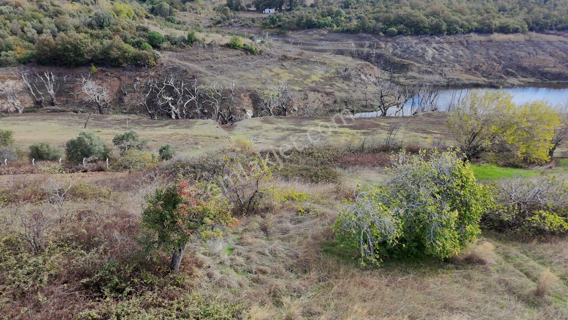 Balıkesir Bandırma Çakıl Mah. 1.480 M2 Satılık Bahçe Göl Manzaralı - Görsel 5
