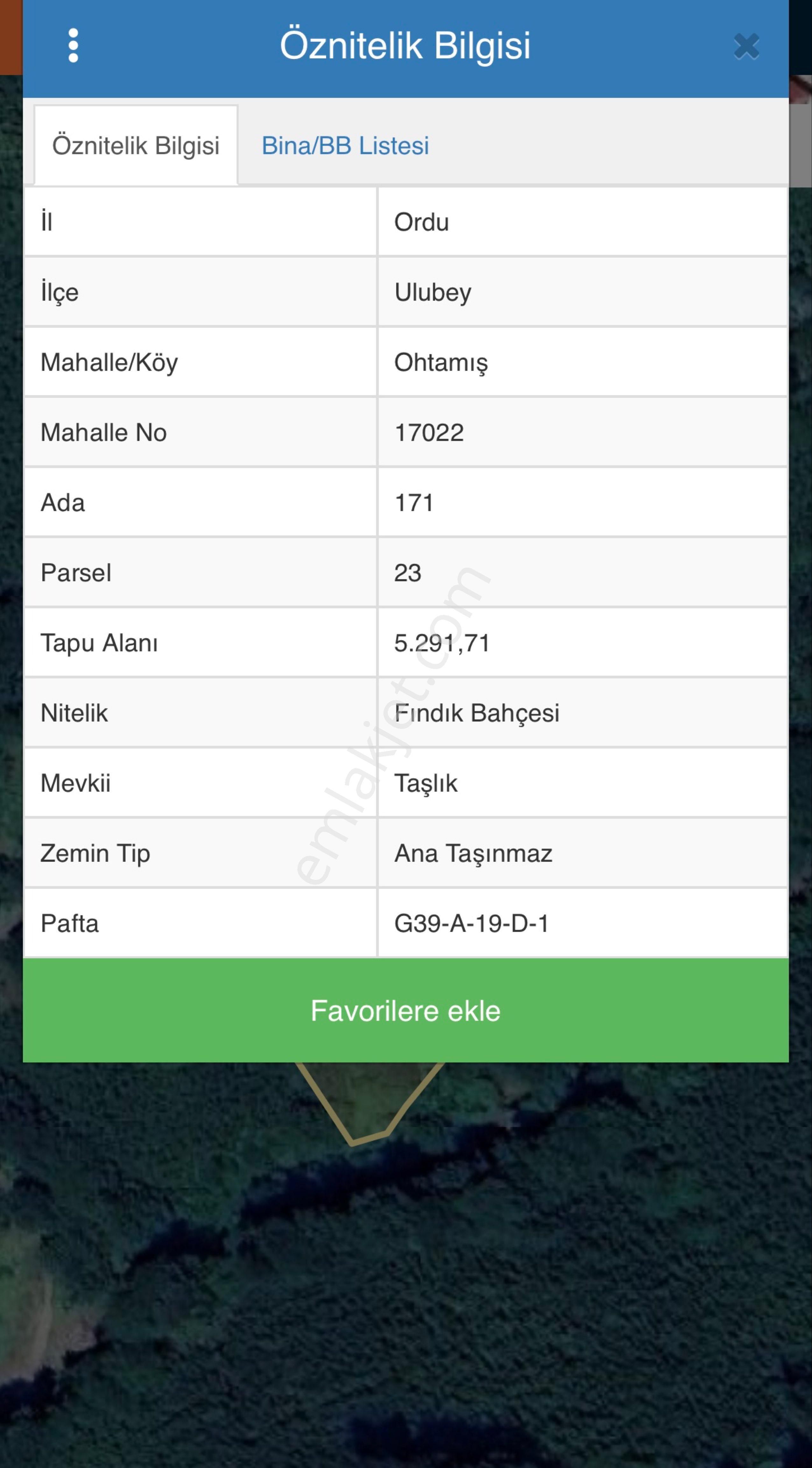 Ordu Ulubey Ohtamış Mah. Satılık Fırsat Fındık Bahçeleri - Görsel 5
