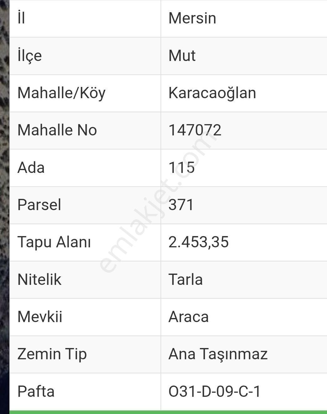 Çağlayan Emlaktan Mut Karacaoğlanda - Görsel 2