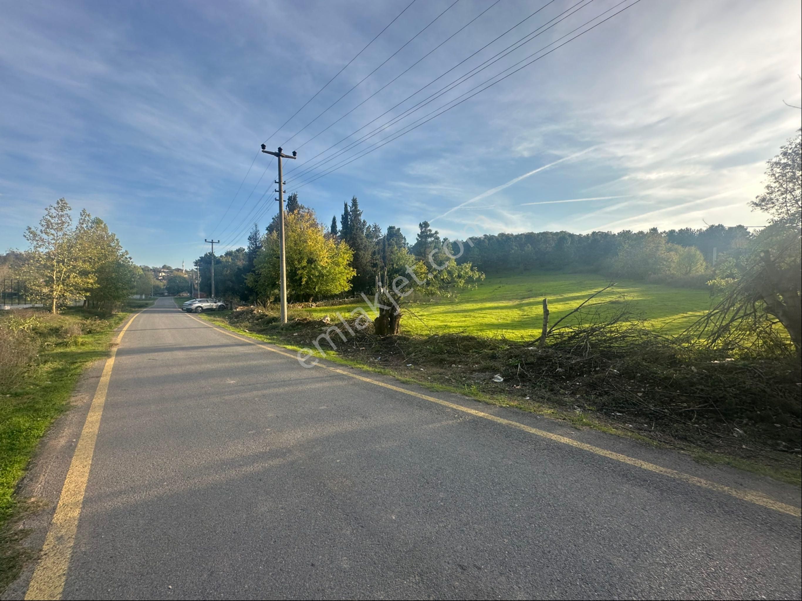 Söğütlü 3.o.s.b Girişinde Asfalt Yola Cephe 3.333 M2 Ticari Arsa - Görsel 15