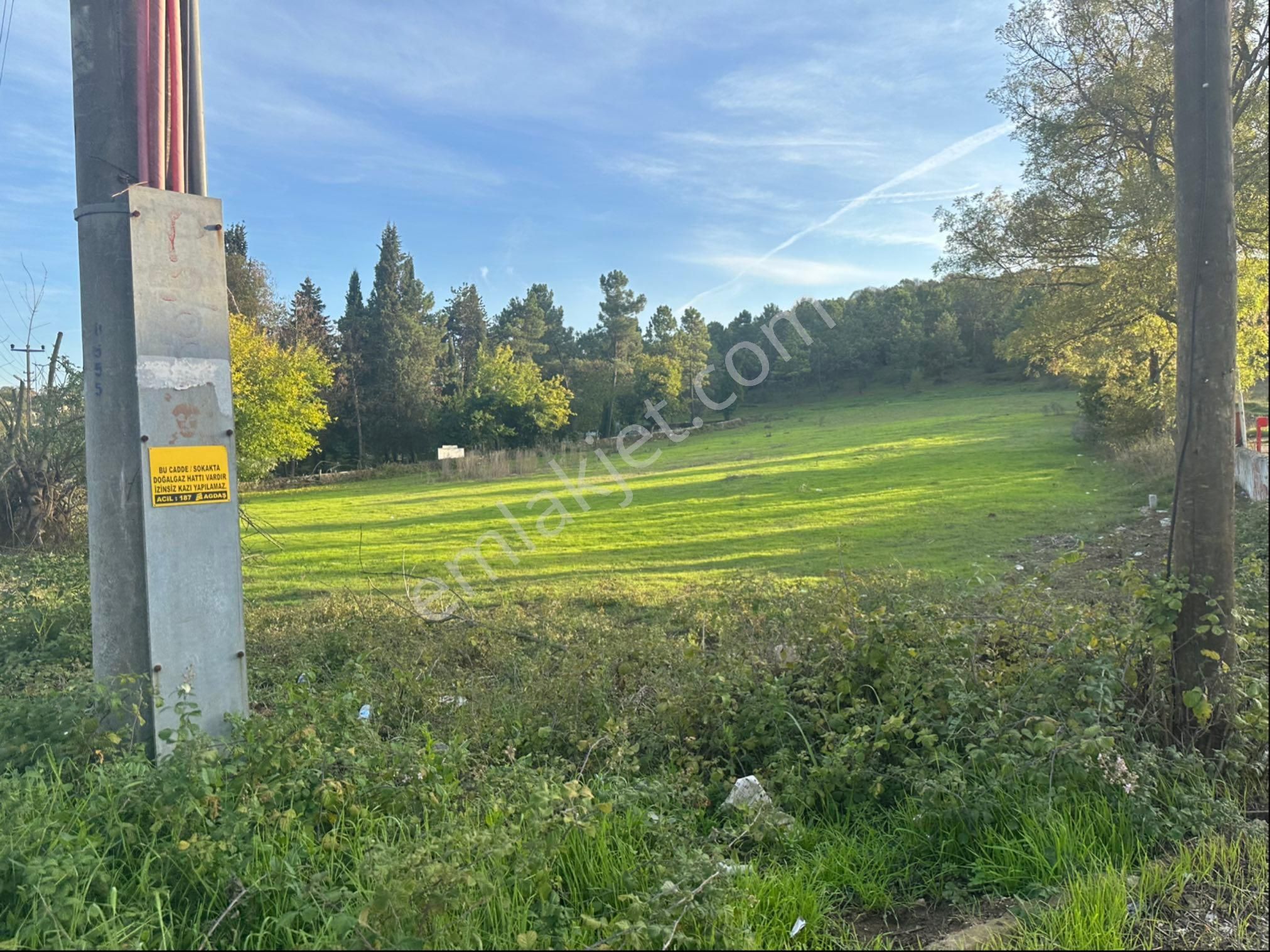 Söğütlü 3.o.s.b Girişinde Asfalt Yola Cephe 3.333 M2 Ticari Arsa - Görsel 23