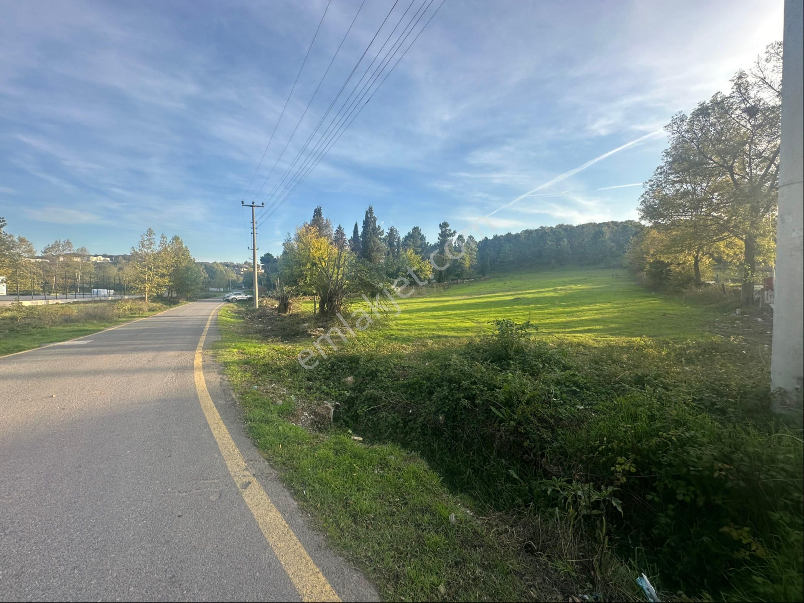 Söğütlü 3.o.s.b Girişinde Asfalt Yola Cephe 3.333 M2 Ticari Arsa - Görsel 7